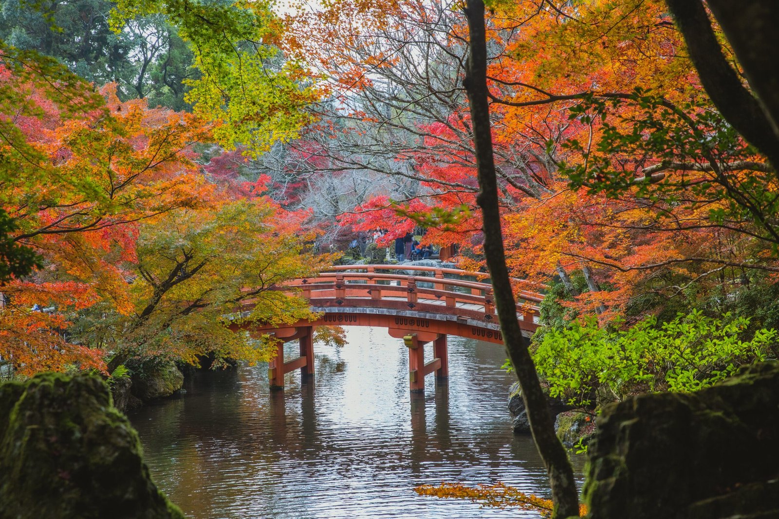 picturesque covered bridge in the fall