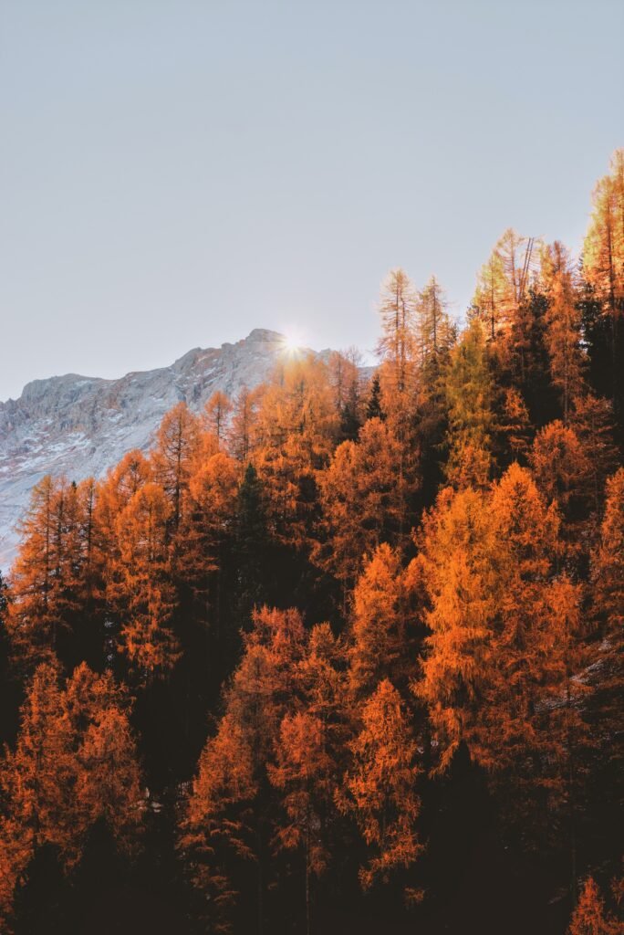 Places To Visit In New Hampshire In Fall