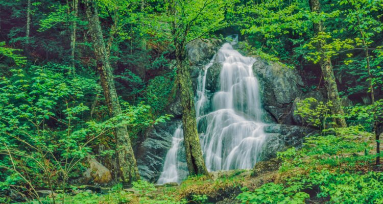 Waterfalls in Vermont: 5 Falls in Vermont You Must See