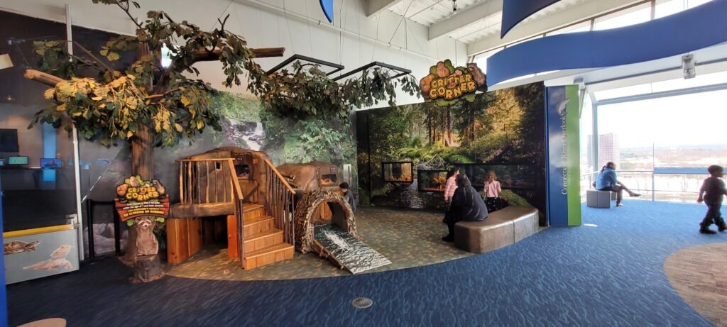 Critter Corner