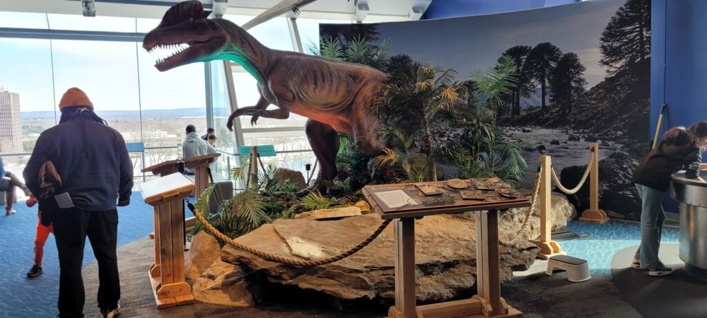 Exploring Paleontology